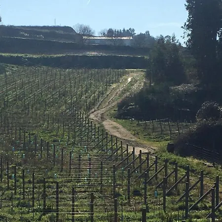 Holiday home Casa Nova Guimaraes