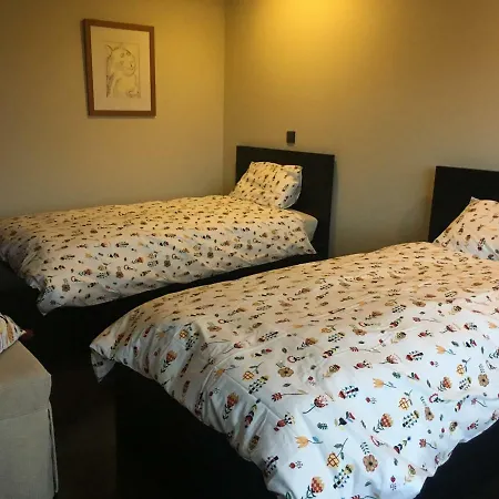 Casa Nova Semesterbostad Guimarães