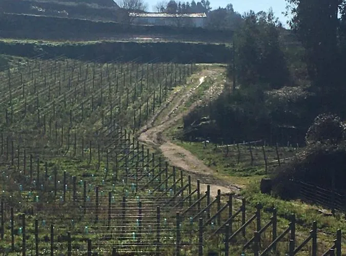 Semesterbostad Casa Nova Guimarães